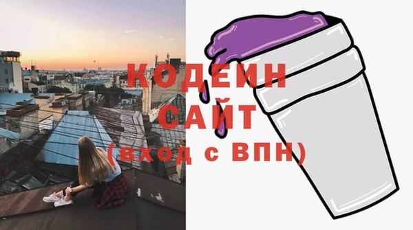 дживик Бородино