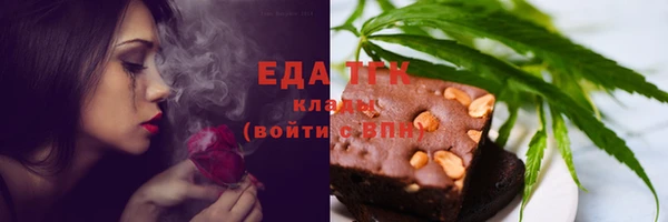 дживик Бородино