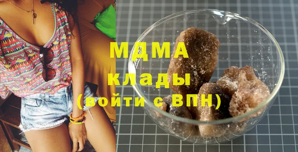 дживик Бородино