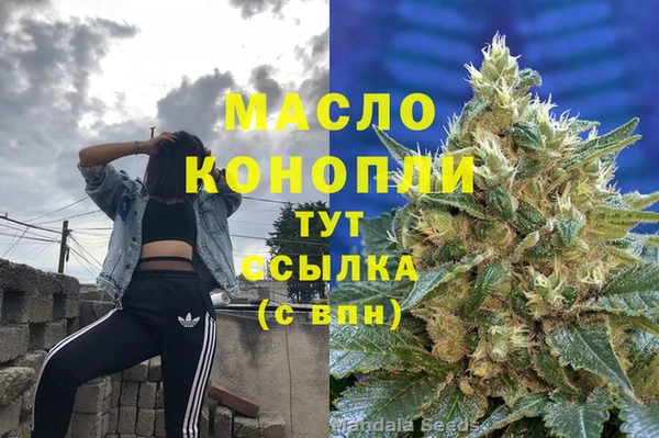 дживик Бородино