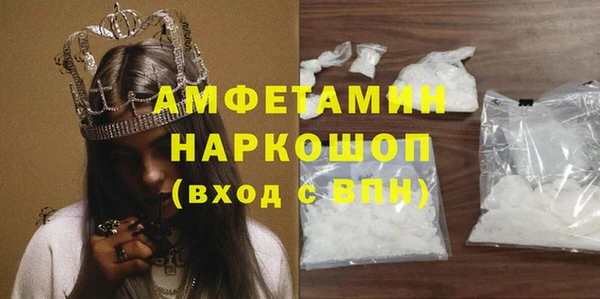 дживик Бородино