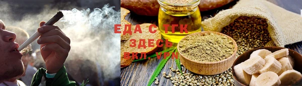 дживик Бородино