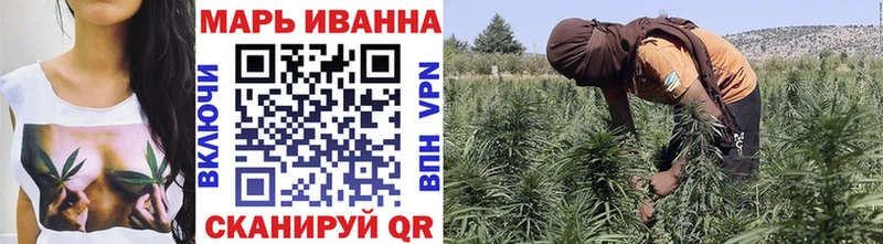 Купить где  Николаевск-на-Амуре  Марихуана OG Kush 